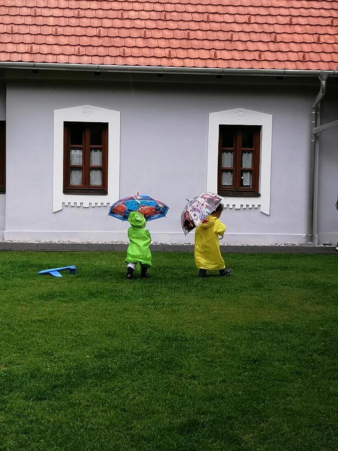 Aracsi Vendeghaz Hotel Balatonfüred Buitenkant foto