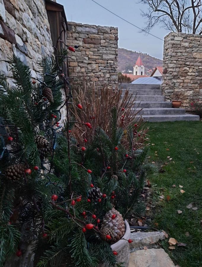 Aracsi Vendeghaz Hotel Balatonfüred Buitenkant foto