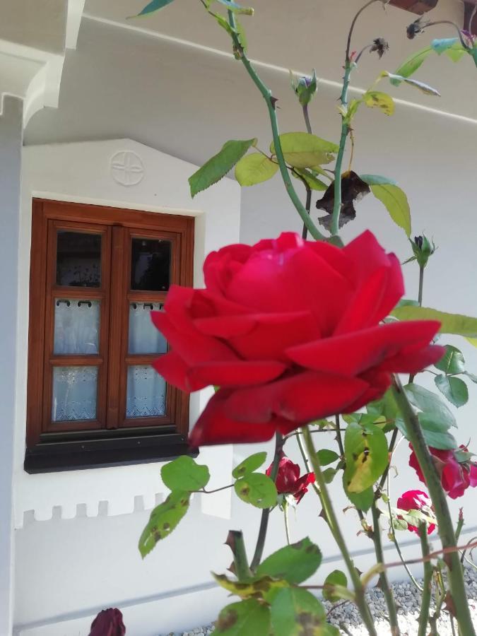 Aracsi Vendeghaz Hotel Balatonfüred Buitenkant foto