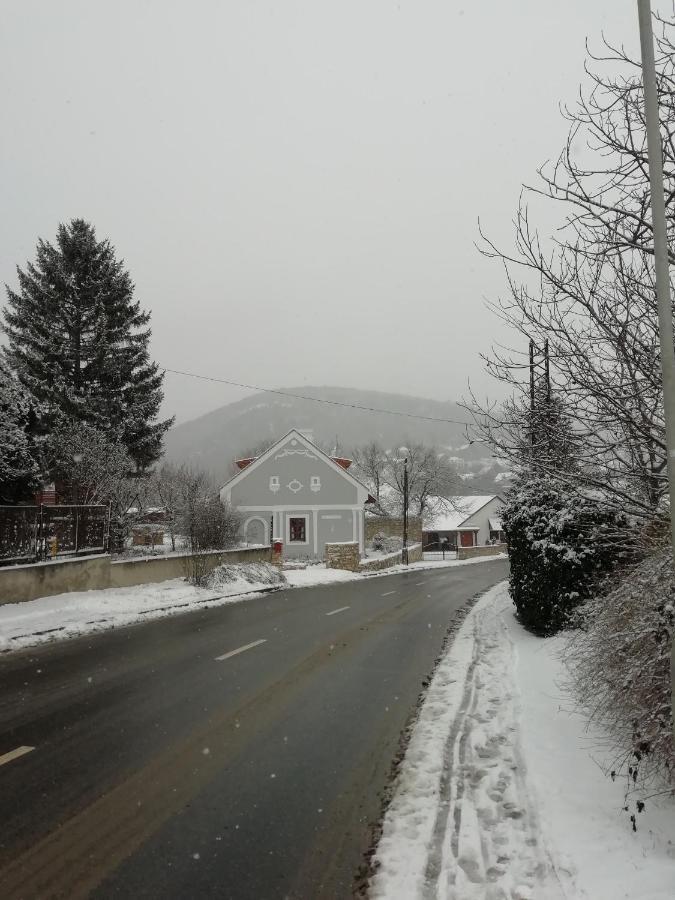 Aracsi Vendeghaz Hotel Balatonfüred Buitenkant foto