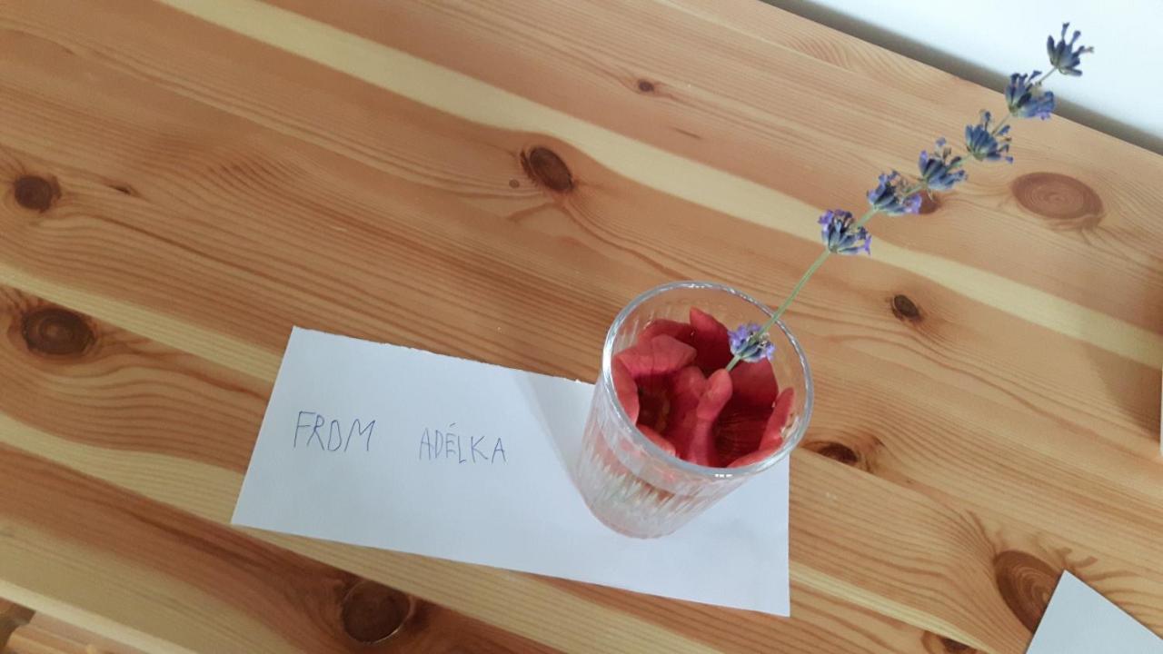 Aracsi Vendeghaz Hotel Balatonfüred Buitenkant foto
